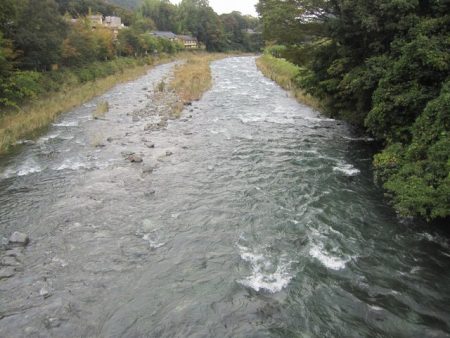 狩野川(狩野川漁業協同組合) 釣果