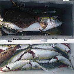 気仙沼 つり丸 釣果