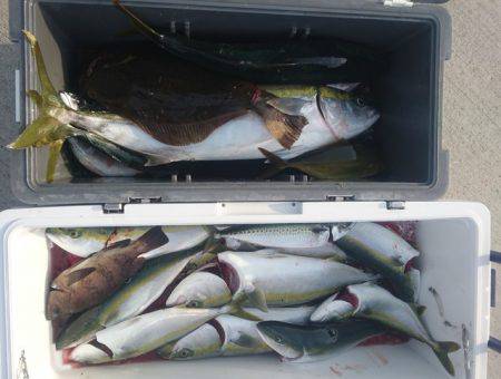 気仙沼　つり丸 釣果