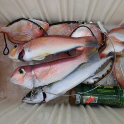 大進丸(新潟) 釣果