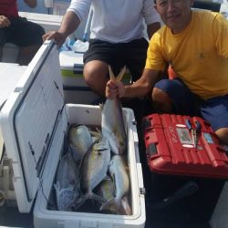 第五慶門丸 釣果