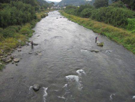 狩野川(狩野川漁業協同組合) 釣果