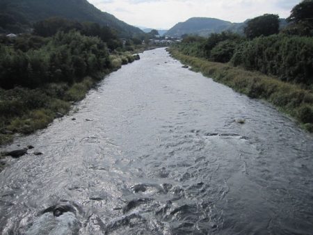 狩野川(狩野川漁業協同組合) 釣果