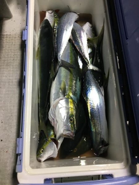 龍宮丸 釣果