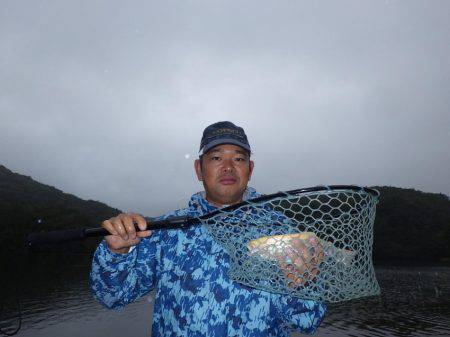 フィッシングレイクたかみや 釣果