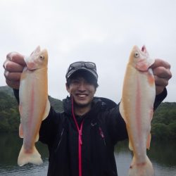 フィッシングレイクたかみや 釣果