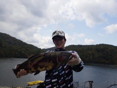 フィッシングレイクたかみや 釣果