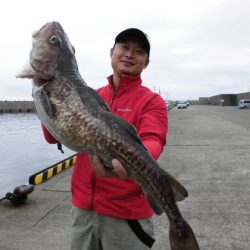 大進丸（新潟） 釣果