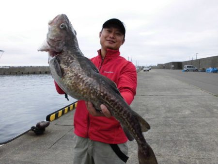 大進丸（新潟） 釣果