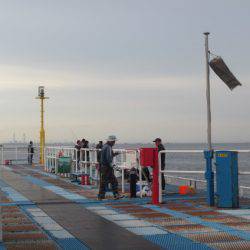 オリジナルメーカー海づり公園(市原市海づり施設) 釣果