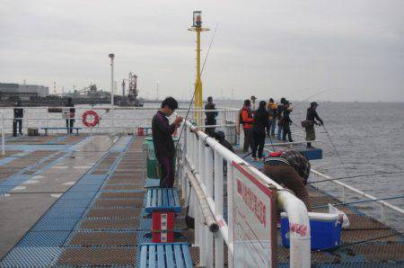 オリジナルメーカー海づり公園(市原市海づり施設) 釣果