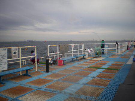 オリジナルメーカー海づり公園(市原市海づり施設) 釣果