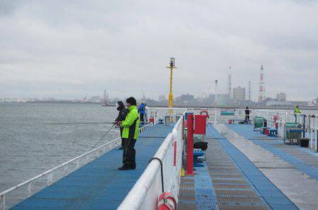 オリジナルメーカー海づり公園(市原市海づり施設) 釣果