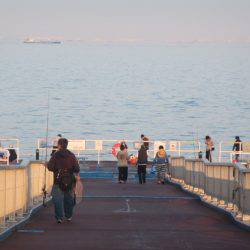 オリジナルメーカー海づり公園(市原市海づり施設) 釣果