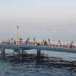 オリジナルメーカー海づり公園(市原市海づり施設) 釣果