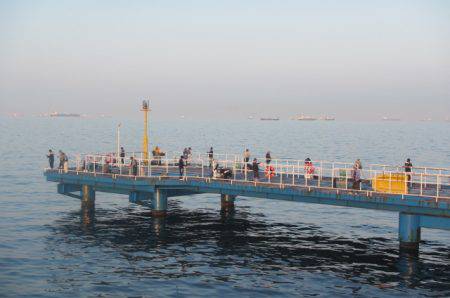 オリジナルメーカー海づり公園(市原市海づり施設) 釣果