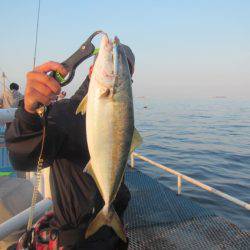 オリジナルメーカー海づり公園(市原市海づり施設) 釣果
