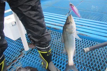 オリジナルメーカー海づり公園(市原市海づり…