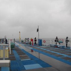 オリジナルメーカー海づり公園(市原市海づり施設) 釣果