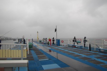 オリジナルメーカー海づり公園(市原市海づり施設) 釣果