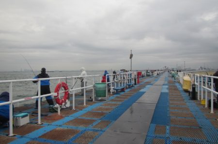 オリジナルメーカー海づり公園(市原市海づり…