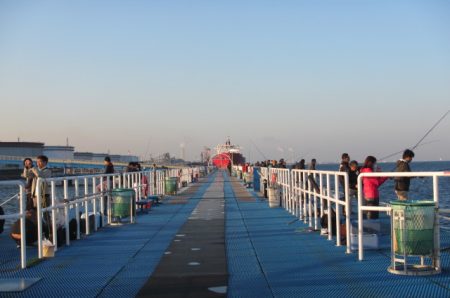 オリジナルメーカー海づり公園(市原市海づり施設) 釣果