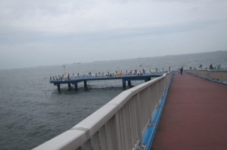 オリジナルメーカー海づり公園(市原市海づり施設) 釣果