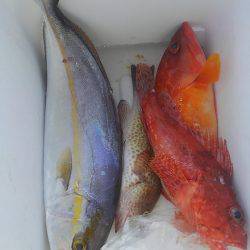 遊漁船 新鋭丸 釣果