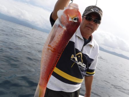 ＢｌｕｅＮｏｔｅ　Ｆｉｓｈｉｎｇ　Ｔａｘｉ 釣果