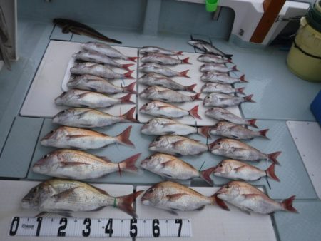 遊漁船 幸友丸 釣果