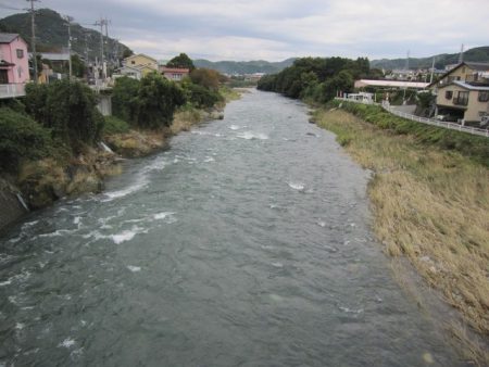 狩野川(狩野川漁業協同組合) 釣果