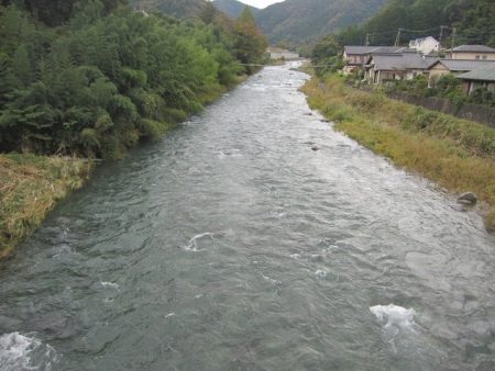 狩野川(狩野川漁業協同組合) 釣果