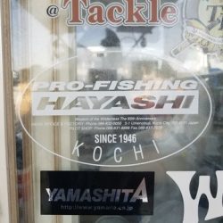 遊漁船 ニライカナイ 釣果