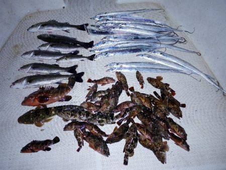 TOPGUN名古屋 釣果