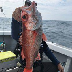 へいみつ丸 釣果