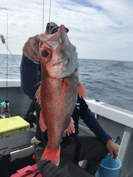 へいみつ丸 釣果
