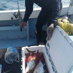 第五慶門丸 釣果