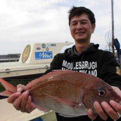 大進丸（新潟） 釣果