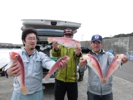 大進丸(新潟) 釣果