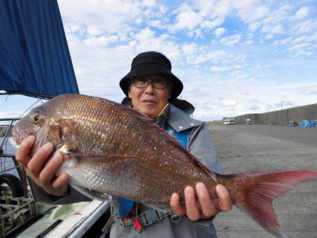 大進丸（新潟） 釣果