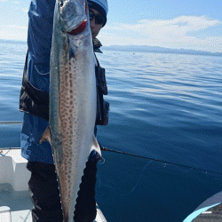 遊漁船ブルーウッズ 釣果