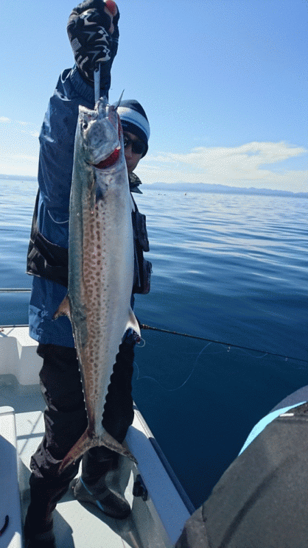 遊漁船ブルーウッズ 釣果