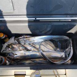 遊漁船 ニライカナイ 釣果