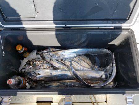 遊漁船 ニライカナイ 釣果