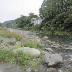 狩野川(狩野川漁業協同組合) 釣果