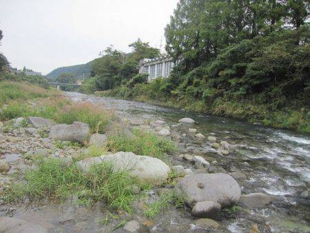狩野川(狩野川漁業協同組合) 釣果