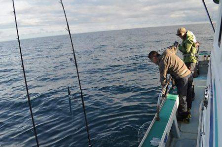 八海丸 釣果