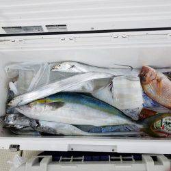 遊漁船　ニライカナイ 釣果