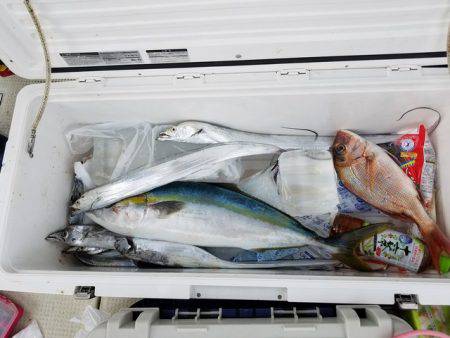 遊漁船　ニライカナイ 釣果