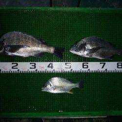 海山フィッシングセンター 釣果